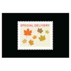 Special Delivery