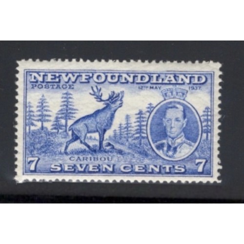 Newfoundland 235 F-VF MNH