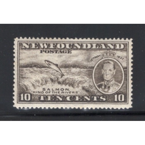 Newfoundland 237 F-VF MNH