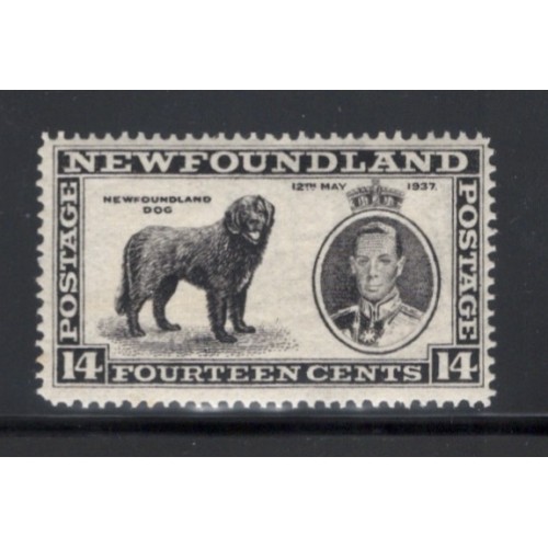 Newfoundland 238 F-VF MNH