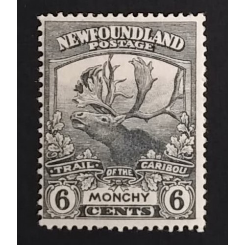 Newfoundland 120 F MH
