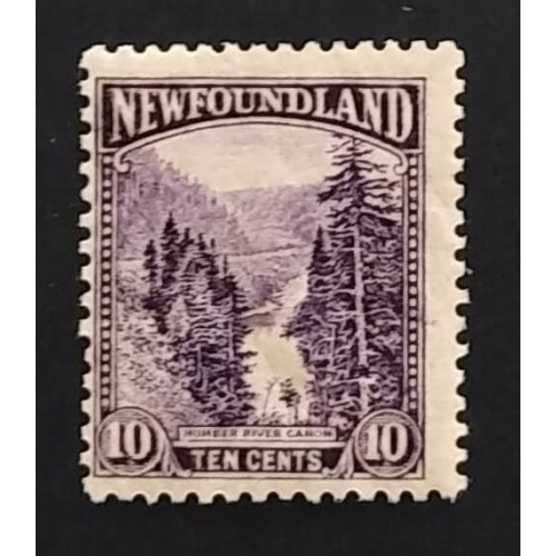 Newfoundland 139 F MH
