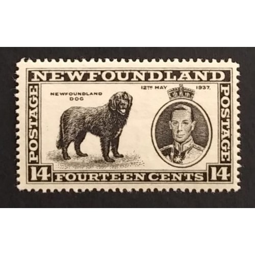 Newfoundland 238 F-VF MNH