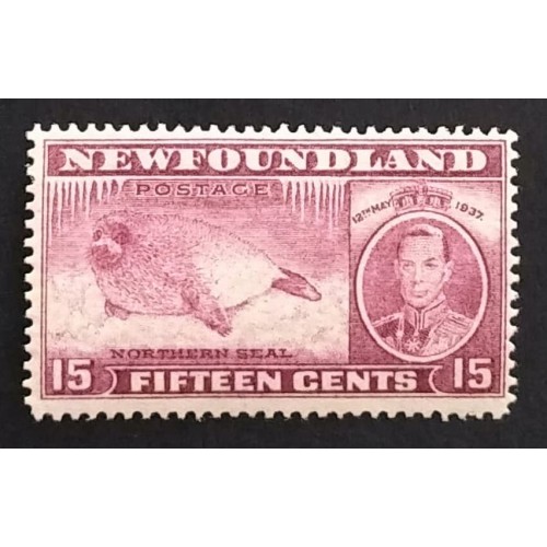 Newfoundland 239 F MNH