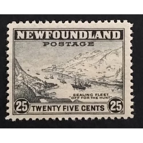 Newfoundland 265 F-VF MNH