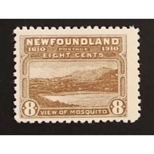 Newfoundland 93 F MH