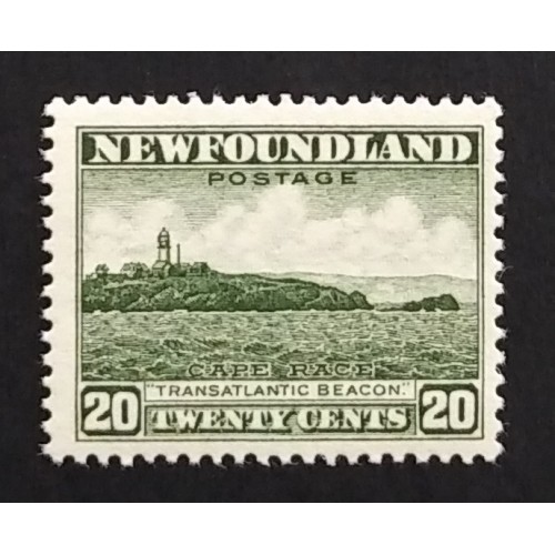 Newfoundland 196 F-VF MNH