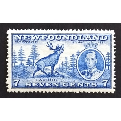Newfoundland 235 VF MNH