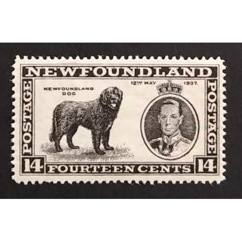 Newfoundland 238 VF MNH