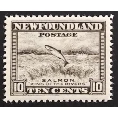 Newfoundland 260 VF VLH