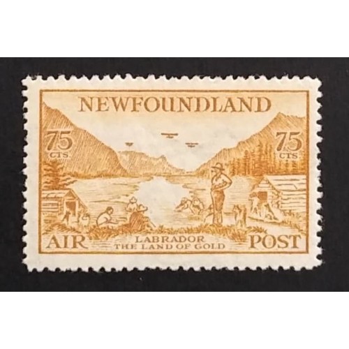 Newfoundland C17 F-VF MNH