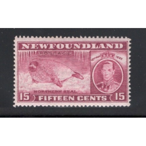 Newfoundland 239 F-VF MNH