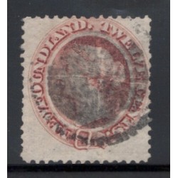 Newfoundland 28 F Used