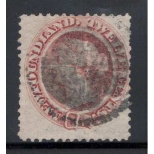 Newfoundland 28 F Used