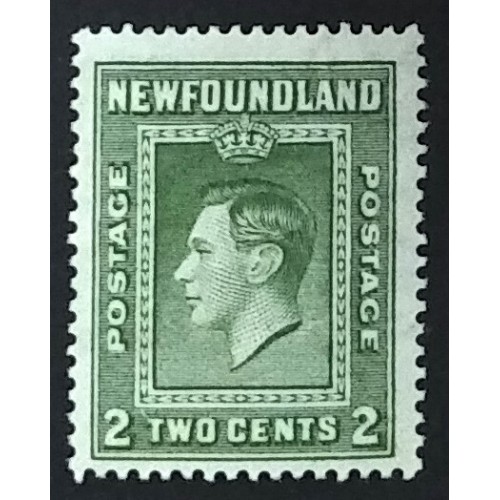 Newfoundland 245 F-VF MNH