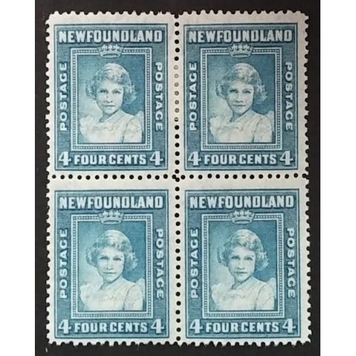 Newfoundland 256 Block F-VF MH