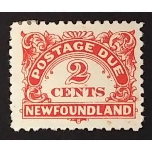 Newfoundland J2 F MH