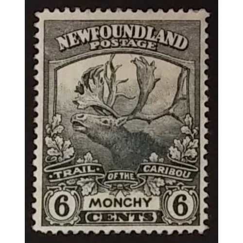 Newfoundland 120 VF MH