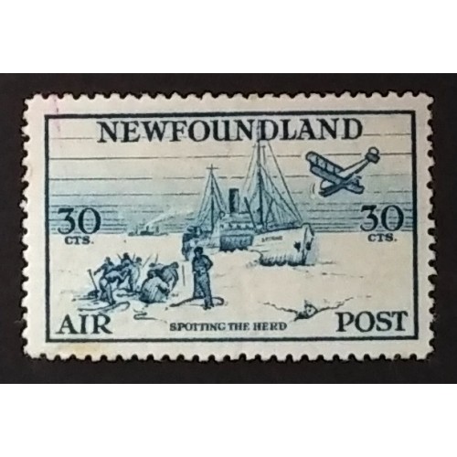 Newfoundland C15 VF MH