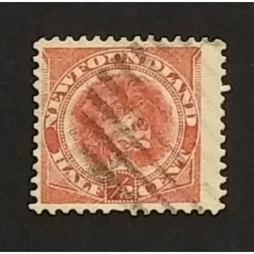 Newfoundland 56 F Used