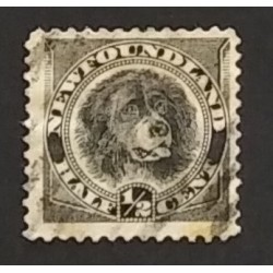 Newfoundland 58 F-VF Used