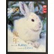 Canada L28174 1997-2008 Complete Lunar New Year Collection
