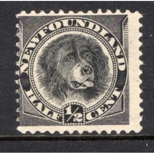 Newfoundland 58 F Unused (No Gum)