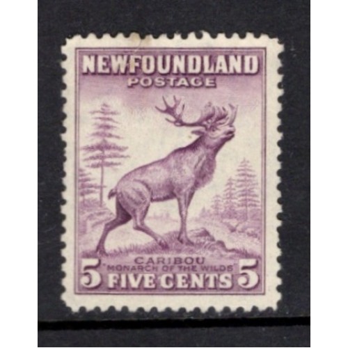 Newfoundland 190 VF Used