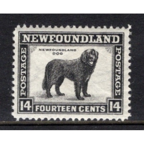 Newfoundland 261 VF MNH