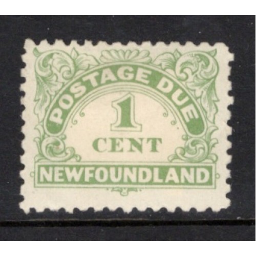 Newfoundland J1 F MH