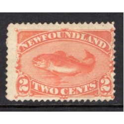 Newfoundland 48 F M (Part Gum)