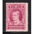 Newfoundland 166 F MLH