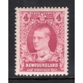 Newfoundland 175 VF MNH