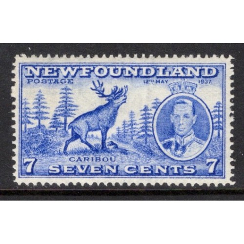 Newfoundland 235 VF MNH