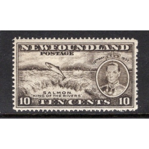 Newfoundland 237 VF MNH