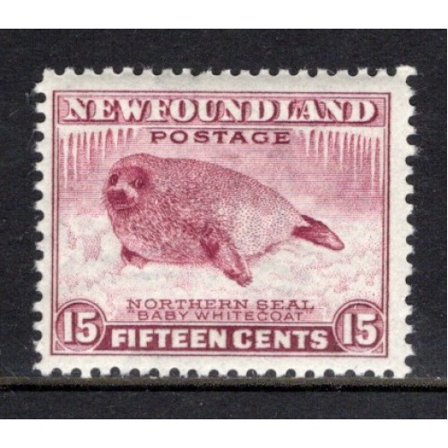 Newfoundland 262 F-VF MNH