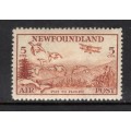 Newfoundland C13iii VF MNH