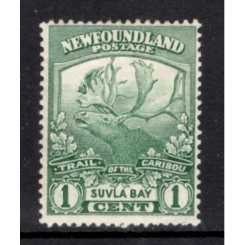 Newfoundland 115 F MH