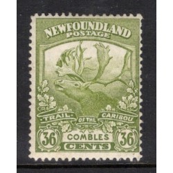 Newfoundland 126 V MH