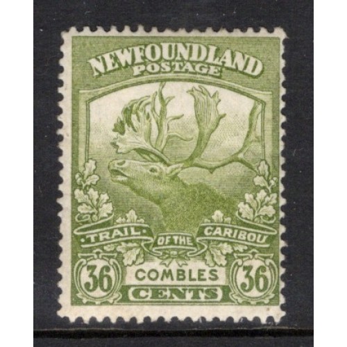 Newfoundland 126 V MH