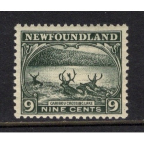 Newfoundland 138 F-VF MNH