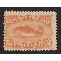 Newfoundland 48 F MH