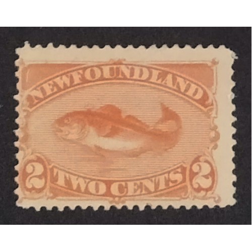 Newfoundland 48 F MH