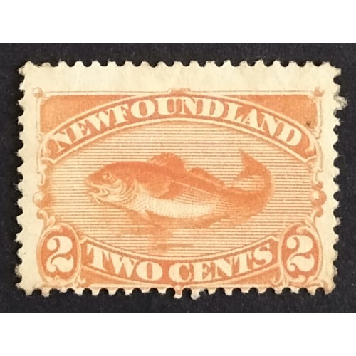 Newfoundland 48 F MH