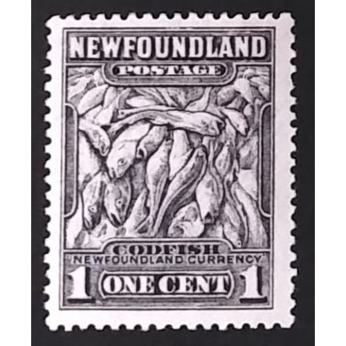 Newfoundland 184 F MH