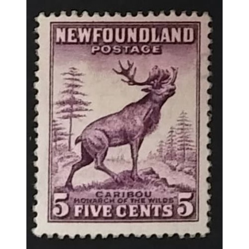 Newfoundland 191a F MNH