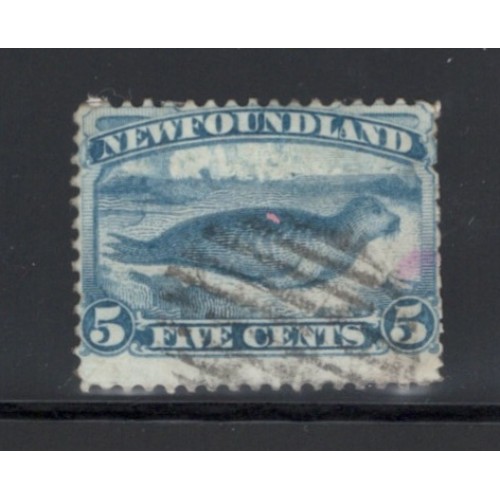 Newfoundland 53 F Used